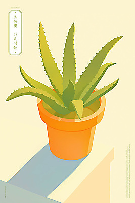 PSD 화분 일러스트 따뜻함 그림자 사람없음 연두색 햇빛 모던 다육식물 미니멀 국내일러스트 식물 초록색 태양 파일형식