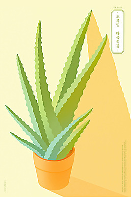 PSD 화분 일러스트 따뜻함 그림자 사람없음 연두색 햇빛 모던 다육식물 미니멀 국내일러스트 식물 초록색 태양 파일형식