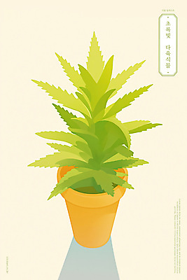 PSD 화분 일러스트 따뜻함 그림자 사람없음 연두색 햇빛 모던 다육식물 미니멀 국내일러스트 식물 초록색 태양 파일형식