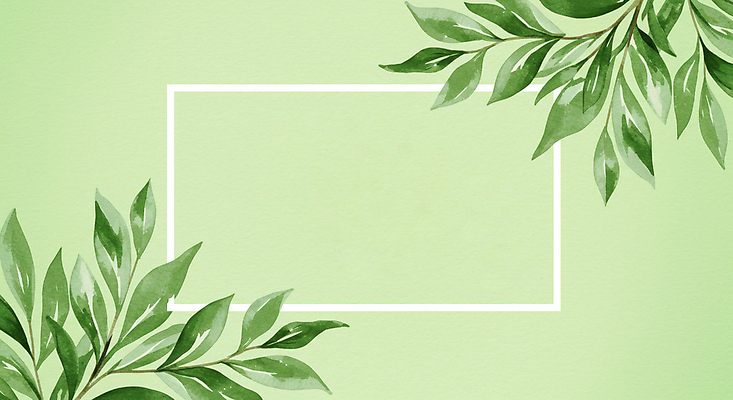 JPG 일러스트 수채화 프레임 사람없음 초록색 풀잎 카피스페이스 국내일러스트 AI일러스트 AI콘텐츠 컬러 잎 공백 풀_식물 파일형식