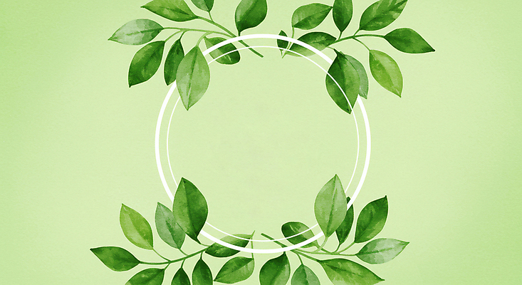 JPG 일러스트 수채화 프레임 사람없음 초록색 풀잎 카피스페이스 국내일러스트 AI일러스트 AI콘텐츠 컬러 잎 공백 풀_식물 파일형식