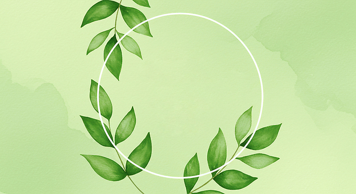 JPG 일러스트 수채화 프레임 사람없음 초록색 풀잎 카피스페이스 국내일러스트 AI일러스트 AI콘텐츠 컬러 잎 공백 풀_식물 파일형식