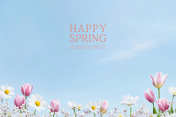 PSD 구름 편집이미지 행복 봄꽃 자연 하늘 사람없음 맑음 풀잎 이미지편집 자연요소 꽃 감정 잎 날씨 봄 풀_식물 생태계 파일형식