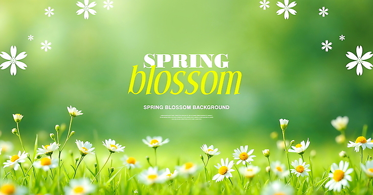 PSD 편집이미지 백그라운드 잔디 사람없음 초록색 봄풍경 데이지 이미지편집 식물 꽃 컬러 풍경 봄 파일형식