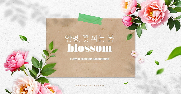 PSD 편집이미지 백그라운드 나뭇잎 그림자 사람없음 봄풍경 작약 이미지편집 꽃 잎 풍경 봄 파일형식