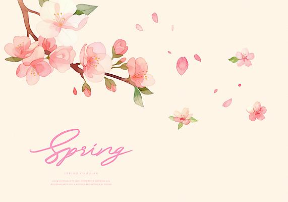 PSD 식물 꽃잎 일러스트 봄꽃 날리기 사람없음 벚꽃 국내일러스트 꽃 모션 봄 파일형식