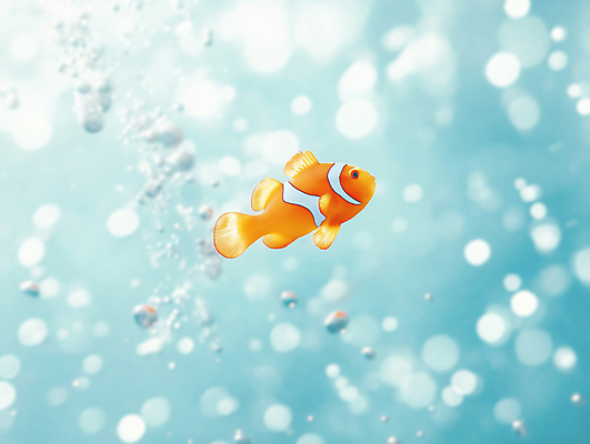 JPG 편집이미지 하늘색 밝음 사람없음 물 햇빛 수중 물방울 보케 흰동가리 편집실사 AI포토 AI콘텐츠 자연요소 어류 파란색 태양 CG 파일형식