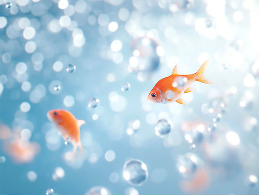 JPG 편집이미지 하늘색 밝음 사람없음 물 햇빛 수중 물방울 보케 편집실사 AI포토 AI콘텐츠 자연요소 파란색 태양 CG 파일형식