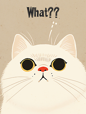 PSD 한마리 일러스트 사람없음 귀여움 고양이 물음표 질문 심플 베이지색 국내일러스트 1 기호 컬러 컨셉 포유류 반려동물 파일형식