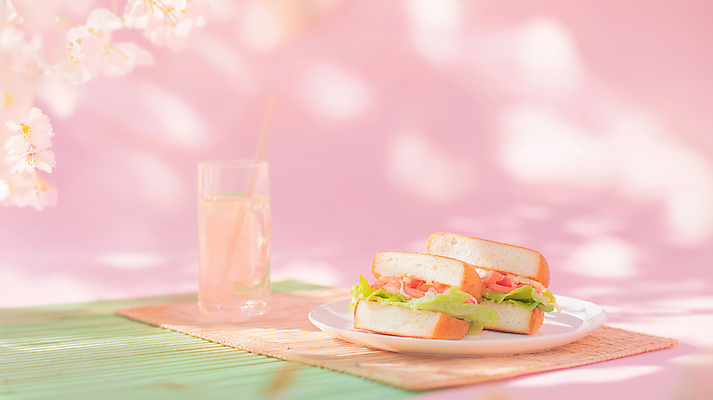 JPG 편집이미지 접시 음료 분홍색 봄꽃 잔 샌드위치 사람없음 햇빛 평화 점심식사 봄소풍 편집실사 AI포토 AI콘텐츠 식기 꽃 음식 컬러 컨셉 태양 소풍 식사 봄 CG 파일형식