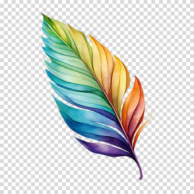 편집이미지 수채화 누끼 사람없음 컬러풀 깃털 오브젝트 PNG 컬러 파일형식