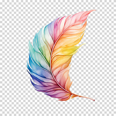 편집이미지 수채화 누끼 사람없음 컬러풀 깃털 오브젝트 PNG 컬러 파일형식