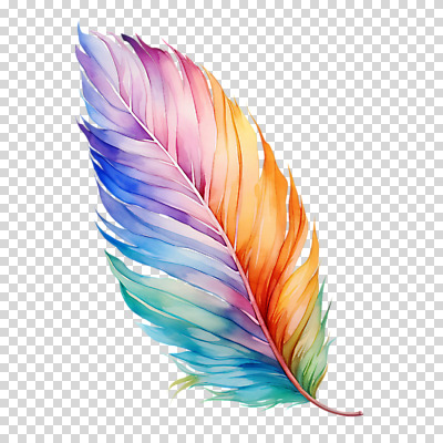 편집이미지 수채화 누끼 사람없음 컬러풀 깃털 오브젝트 PNG 컬러 파일형식