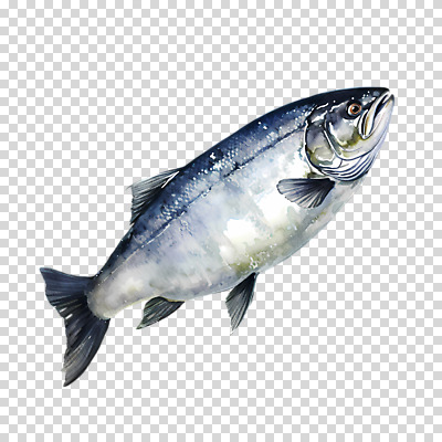 편집이미지 음식 수채화 누끼 사람없음 회색 신선 연어 PNG 컬러 어류 파일형식