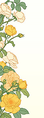 PSD 백그라운드 잎 일러스트 사람없음 장미 노란색 봄 빈티지 국내일러스트 식물 계절 꽃 컬러 컨셉 파일형식