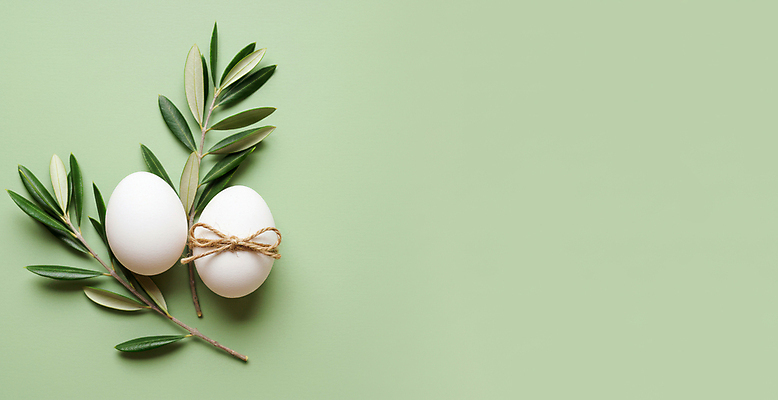 JPG 편집이미지 리본 종교 잎 사람없음 연두색 부활절계란 유칼립투스 짚끈 카피스페이스 편집실사 AI포토 AI콘텐츠 식물 부활절 초록색 계란 공백 끈 CG 파일형식