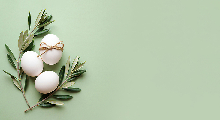 JPG 편집이미지 리본 종교 잎 사람없음 연두색 부활절계란 유칼립투스 짚끈 카피스페이스 편집실사 AI포토 AI콘텐츠 식물 부활절 초록색 계란 공백 끈 CG 파일형식