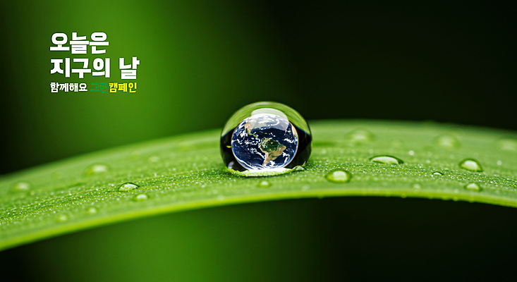 PSD 편집이미지 포스터 지구 자연 사람없음 초록색 물 자연보호 환경 그린캠페인 물방울 풀잎 보호 이슬 지구의날 이미지편집 자연요소 기념일 캠페인 컬러 컨셉 잎 풀_식물 생태계 파일형식