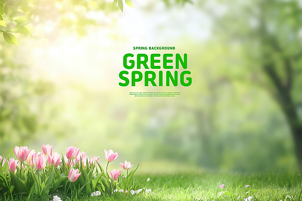 PSD 편집이미지 봄꽃 자연 잔디 사람없음 초록색 햇빛 봄풍경 튤립 풀잎 분위기 이미지편집 식물 꽃 컬러 컨셉 잎 풍경 태양 봄 풀_식물 생태계 파일형식