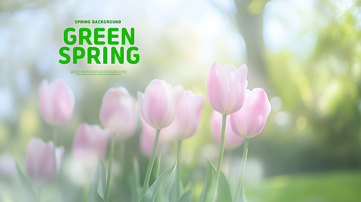 PSD 편집이미지 봄꽃 자연 잔디 사람없음 초록색 봄풍경 튤립 분위기 이미지편집 식물 꽃 컬러 컨셉 풍경 봄 생태계 파일형식