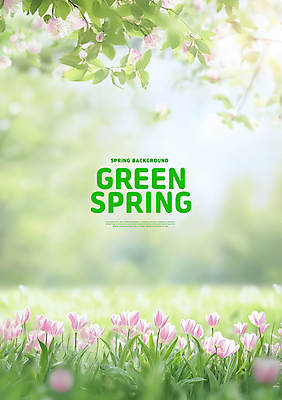 PSD 편집이미지 봄꽃 자연 잔디 사람없음 초록색 봄풍경 튤립 풀잎 분위기 이미지편집 식물 꽃 컬러 컨셉 잎 풍경 봄 풀_식물 생태계 파일형식