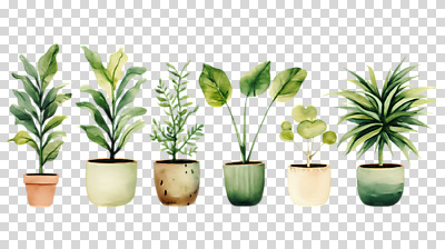 식물 편집이미지 화분 수채화 누끼 사람없음 오브젝트 일렬 PNG 보테니컬아트 편집소스 파일형식