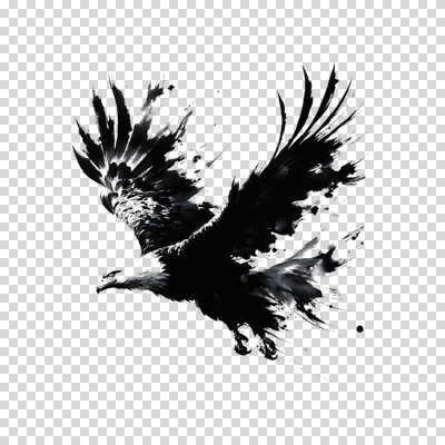 편집이미지 한마리 붓터치 추상 흑백 수묵화 누끼 사람없음 검은색 자유 비행 동양화 역동적 독수리 날갯짓 PNG 1 컬러 컨셉 무늬 조류 촬영기법 미술 파일형식