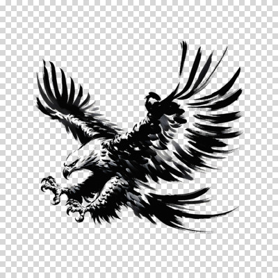 편집이미지 한마리 붓터치 추상 흑백 수묵화 누끼 사람없음 검은색 자유 비행 동양화 역동적 독수리 날갯짓 PNG 1 컬러 컨셉 무늬 조류 촬영기법 미술 파일형식