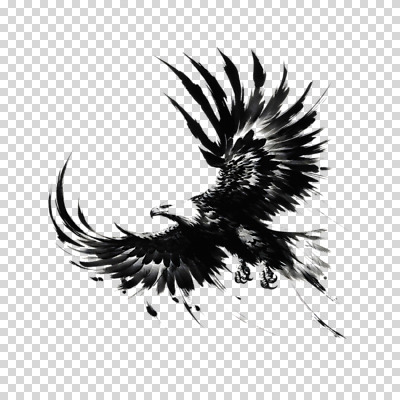 편집이미지 한마리 붓터치 추상 흑백 수묵화 누끼 사람없음 검은색 자유 비행 동양화 역동적 독수리 날갯짓 PNG 1 컬러 컨셉 무늬 조류 촬영기법 미술 파일형식