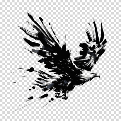 편집이미지 한마리 붓터치 추상 흑백 수묵화 누끼 사람없음 검은색 자유 비행 동양화 역동적 독수리 날갯짓 PNG 1 컬러 컨셉 무늬 조류 촬영기법 미술 파일형식