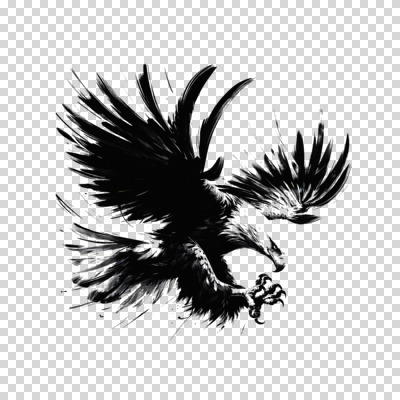 편집이미지 한마리 붓터치 추상 흑백 수묵화 누끼 사람없음 검은색 자유 비행 동양화 역동적 독수리 날갯짓 PNG 1 컬러 컨셉 무늬 조류 촬영기법 미술 파일형식