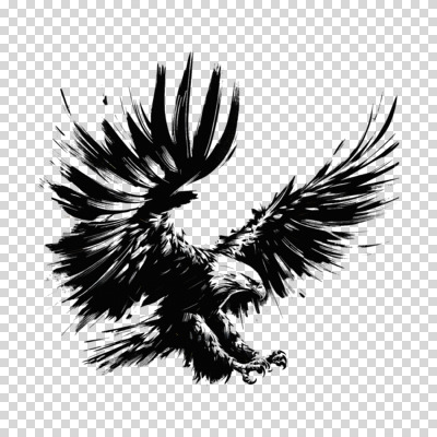 편집이미지 한마리 붓터치 추상 흑백 수묵화 누끼 사람없음 검은색 자유 비행 동양화 역동적 독수리 날갯짓 PNG 1 컬러 컨셉 무늬 조류 촬영기법 미술 파일형식