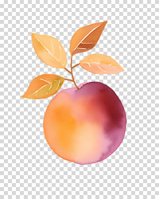 편집이미지 잎 수채화 누끼 사람없음 여름 주황색 그림 복숭아 PNG 편집소스 식물 계절 컬러 과일 파일형식