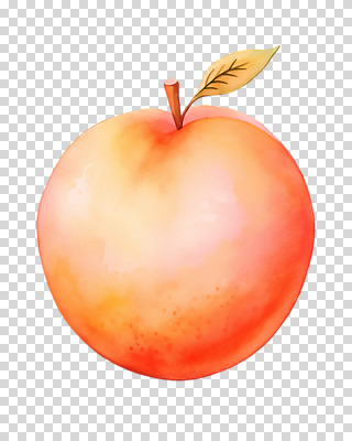 편집이미지 잎 수채화 누끼 사람없음 여름 주황색 그림 복숭아 PNG 편집소스 식물 계절 컬러 과일 파일형식