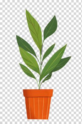 편집이미지 화분 화초 잎 누끼 원예 PNG 편집소스 식물 취미 파일형식