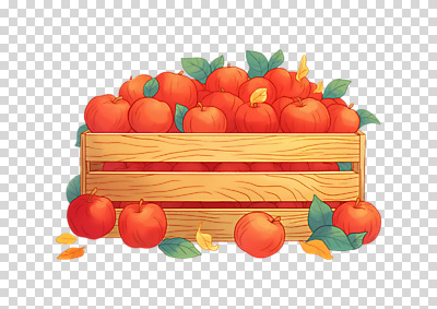 편집이미지 농업 나뭇잎 누끼 사람없음 수확 가을 신선 사과 나무상자 가득함 담기 PNG 많음 계절 산업 컨셉 잎 과일 모션 상자 파일형식
