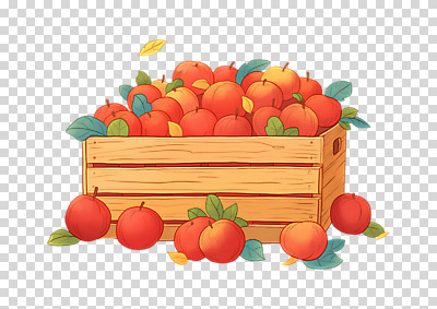 편집이미지 농업 나뭇잎 누끼 사람없음 수확 가을 신선 사과 나무상자 가득함 담기 PNG 많음 계절 산업 컨셉 잎 과일 모션 상자 파일형식
