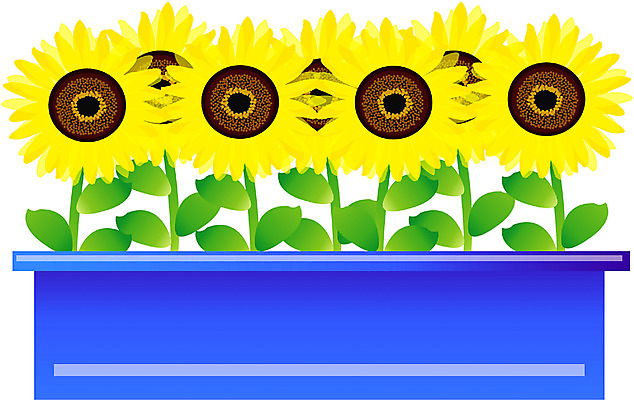 EPS 식물 아이콘 꽃 화분 컬러 여름꽃 자연 해바라기 사람없음 노란색 2D아이콘 생태계 파일형식 벡터 여름_계절