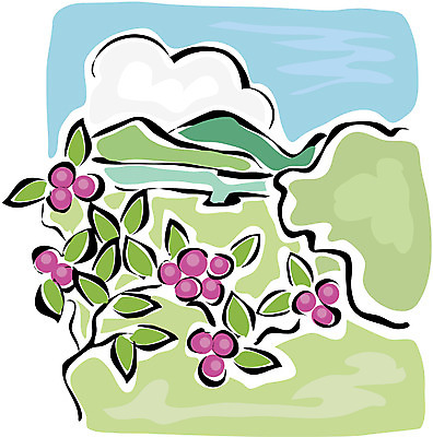 EPS 주간 클립아트 나무 식물 구름 열매 백그라운드 일러스트 자연 하늘 산 풍경 초원 사람없음 야외 국내일러스트 자연요소 생태계 파일형식 벡터