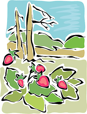 EPS 주간 클립아트 나무 식물 열매 백그라운드 과일 일러스트 자연 딸기 산 풍경 사람없음 야외 국내일러스트 자연요소 생태계 파일형식 벡터