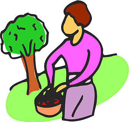 EPS 클립아트 나무 식물 여자 과일 일러스트 한그루 한명 들기 사람 20대 성인 야외 소풍 바구니 외출 여자만 여자한명만 성인여자만 청년만 청년여자만 성인한명만 청년여자한명만 성인여자한명만 성인만 국내일러스트 1 모션 청년 야외활동 파일형식 벡터