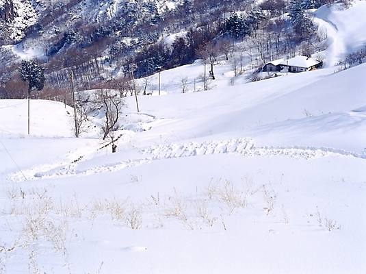 포토 JPG 주간 나무 사계절 계절 설경 겨울 자연 산 풍경 사람없음 야외 설원 눈 국내포토 자연요소 식물 날씨 눈_날씨 생태계 파일형식
