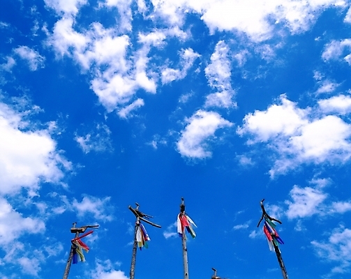 포토 JPG 주간 구름 한국전통 전통 종교 로우앵글 자연 하늘 풍경 사람없음 야외 솟대 민간신앙 미신 국내포토 자연요소 뷰포인트 한국 생태계 파일형식