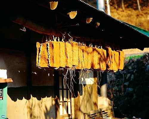포토 JPG 주간 전통 건축물 현대건축 음식 식재료 자연 한국 풍경 사람없음 야외 농촌 시골 양념 장 강릉 메주 처마끝 국내포토 자연요소 건축 아시아 생태계 강원도 파일형식