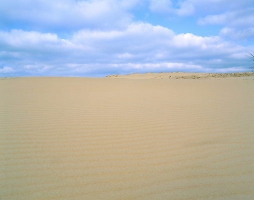 포토 JPG 주간 구름 모래 자연 하늘 풍경 사람없음 야외 사막 국내포토 자연요소 생태계 파일형식
