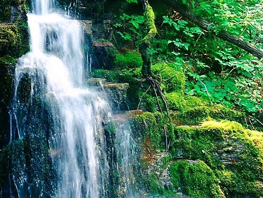 포토 JPG 주간 나무 식물 사계절 계절 자연 산 이끼 풍경 사람없음 야외 초록색 여름 계곡 폭포 돌_바위 바위 강원도 삼척 국내포토 자연요소 컬러 한국 생태계 파일형식