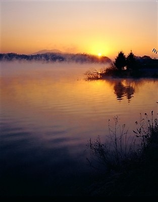 포토 JPG 주간 나무 식물 호수 자연 하늘 산 풍경 사람없음 야외 태양 일출 노을 일몰 안개 수면 충주호 국내포토 자연요소 날씨 물 생태계 충주 파일형식