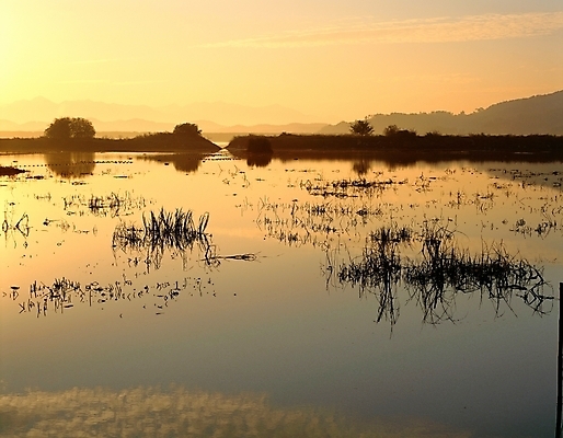 포토 JPG 주간 자연 하늘 산 풍경 사람없음 야외 물 일출 노을 일몰 습지 우포늪 국내포토 자연요소 생태계 창녕 파일형식