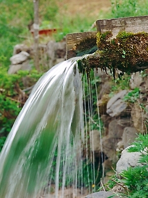 포토 JPG 주간 자연 산 이끼 풍경 근접촬영 사람없음 야외 초록색 물 약수터 영월 국내포토 자연요소 뷰포인트 컬러 생태계 강원도 파일형식