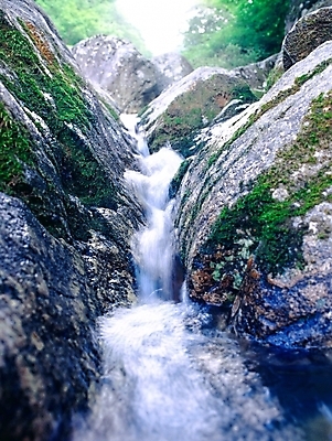 포토 JPG 주간 사계절 계절 자연 산 이끼 풍경 사람없음 야외 초록색 물 여름 계곡 흐름 돌_바위 바위 물이끼 국내포토 자연요소 컬러 컨셉 생태계 파일형식